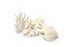little wonder natural coral 5 pieces
